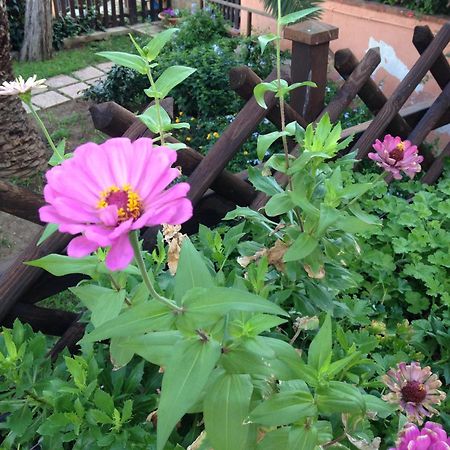 B&B Villa Di Giorgi 체팔루 외부 사진