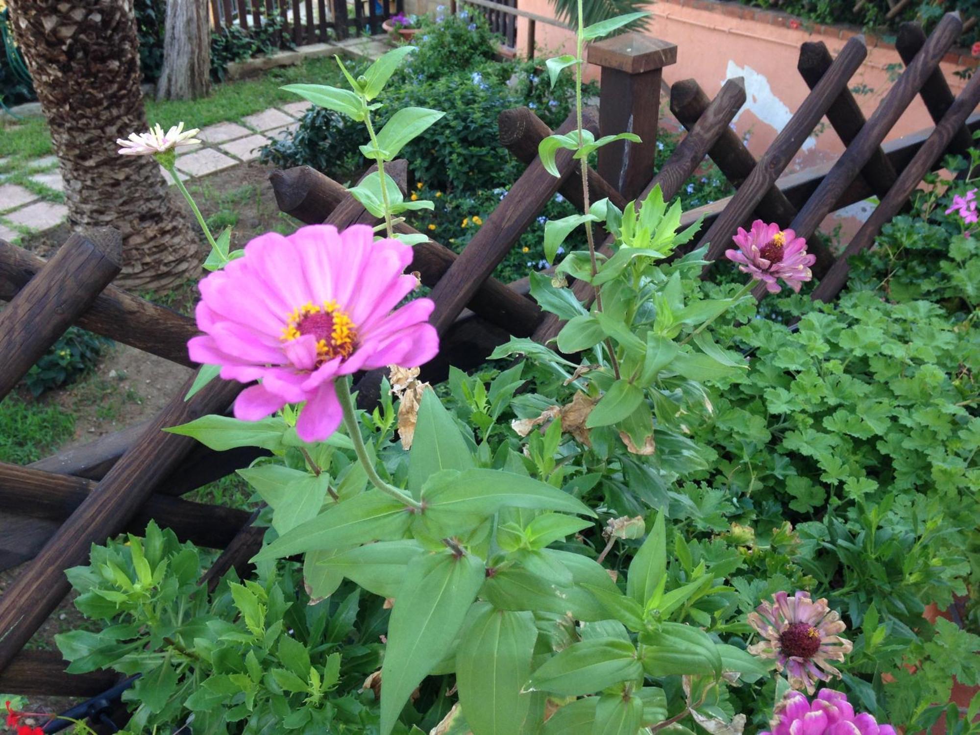 B&B Villa Di Giorgi 체팔루 외부 사진